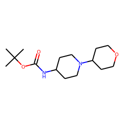 873537-63-4 / tert-Butyl N-[1-(Oxan-4-yl)piperidin-4-yl]carbamate