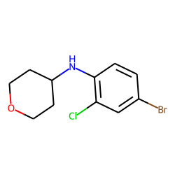 1056465-04-3 / (4-bromo-2-chorophenyl)tetrahydropyranylamine