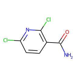 62068-78-4 / 2,6-Dichloronicotinamide